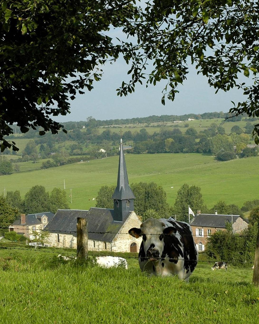 Gite "Le Refuge" Dans Un Domaine De 7Ha Au Calme Vimoutiers Ngoại thất bức ảnh